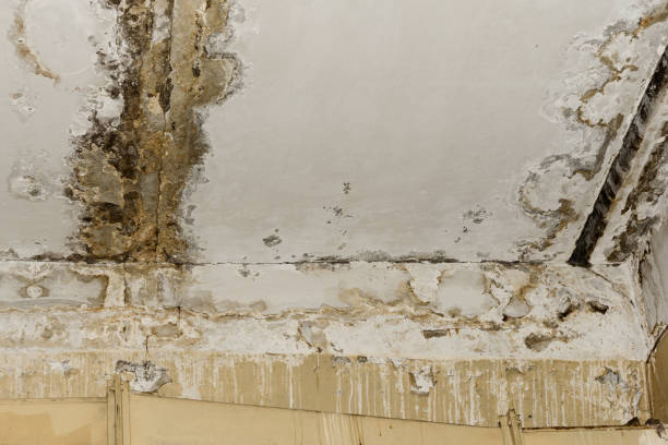 Best Professional water damage repair  in Kuna, ID