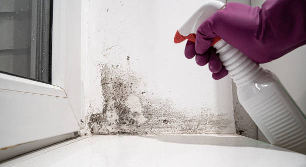 Best Water damage cleanup near me  in Kuna, ID